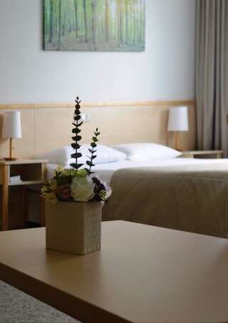 Отель Green Park Hotel Klaipeda Клайпеда Номер бизнес-класса-2