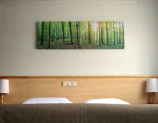 Отель Green Park Hotel Klaipeda Клайпеда Номер бизнес-класса-3